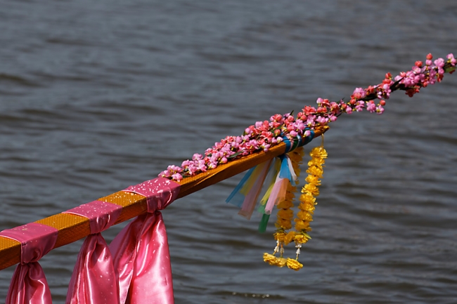 Phimai boat races-2013-022